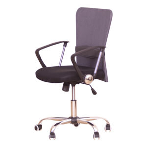 TEMPO KONDELA Aex kancelárska stolička s podrúčkami čierna / sivá